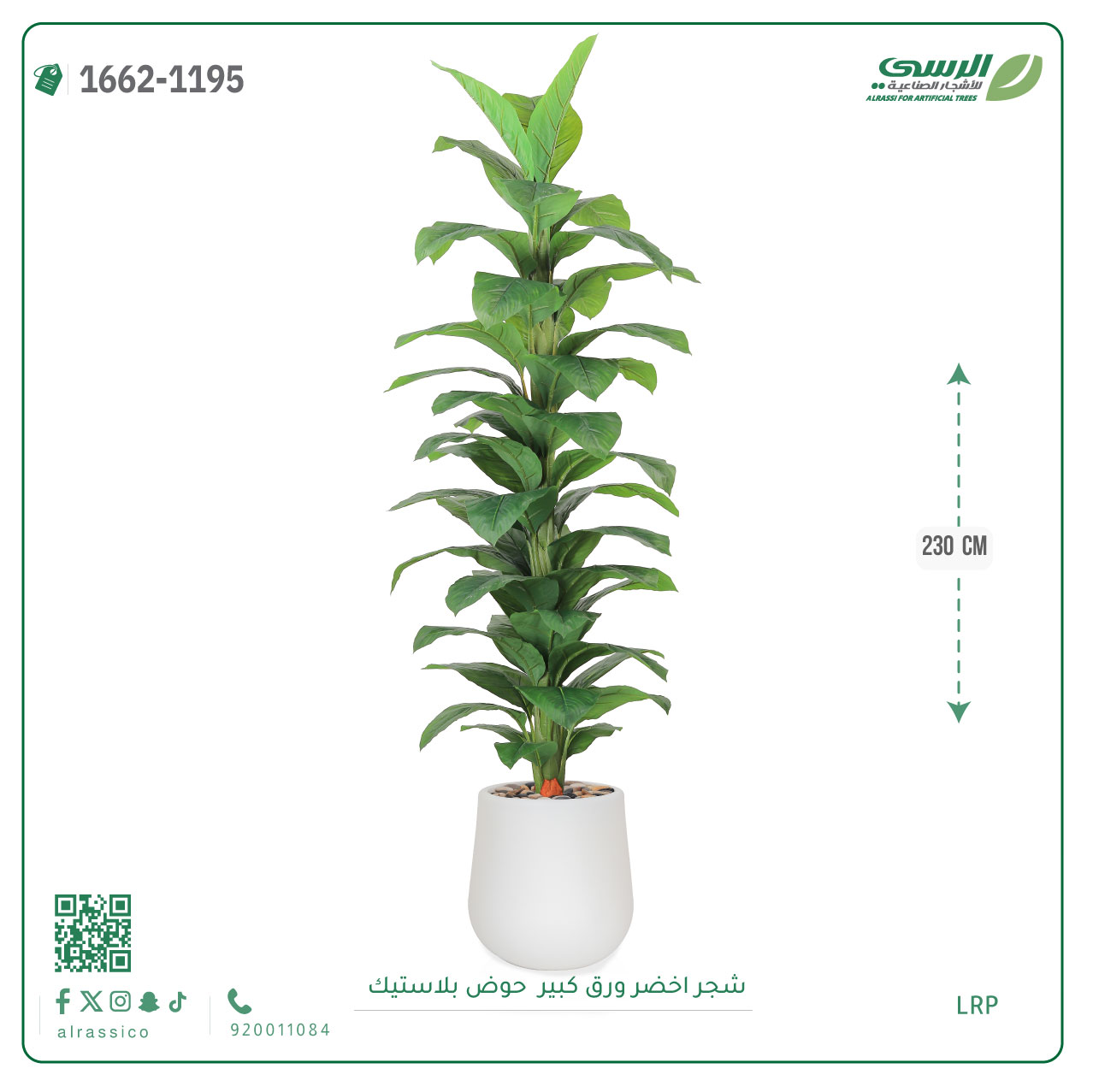  شجر مونستيرا صناعي ( ارتفاع 230 سم ) حوض بلاستيك 