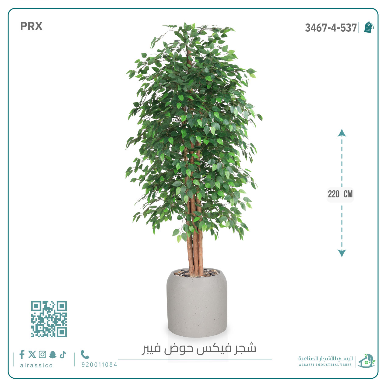  شجرة ورق فيكس اصطناعية بمركن فيبر  أسطواني 