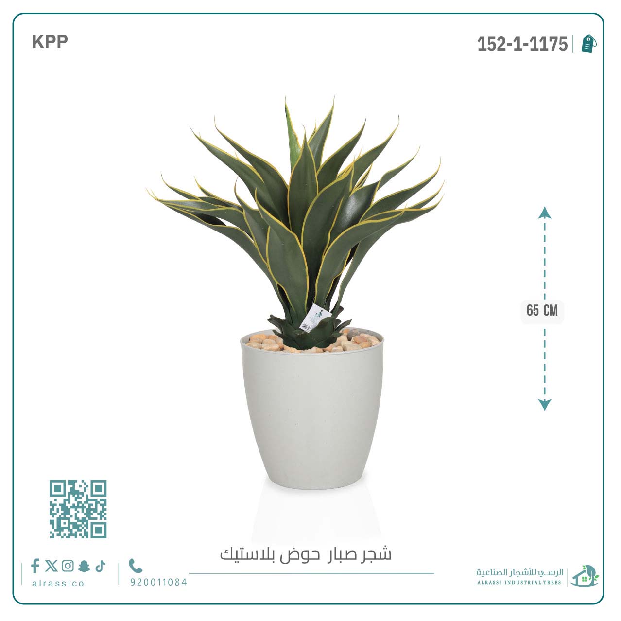  صبار ذيل الثعلب الصناعي بمركن بلاستيك اسطوانى  