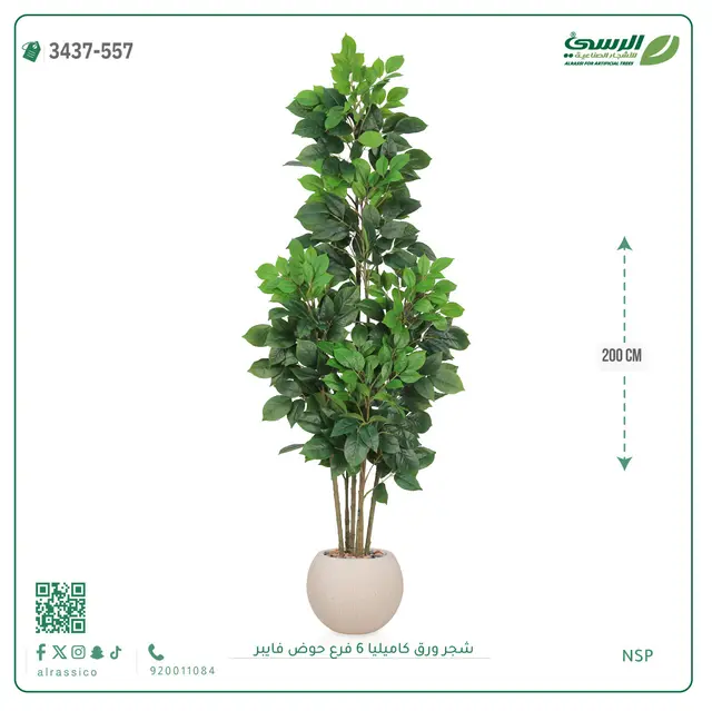  شجرة كاميليا صناعية (ارتفاع 200 سم) 6 فروع حوض فيبر 