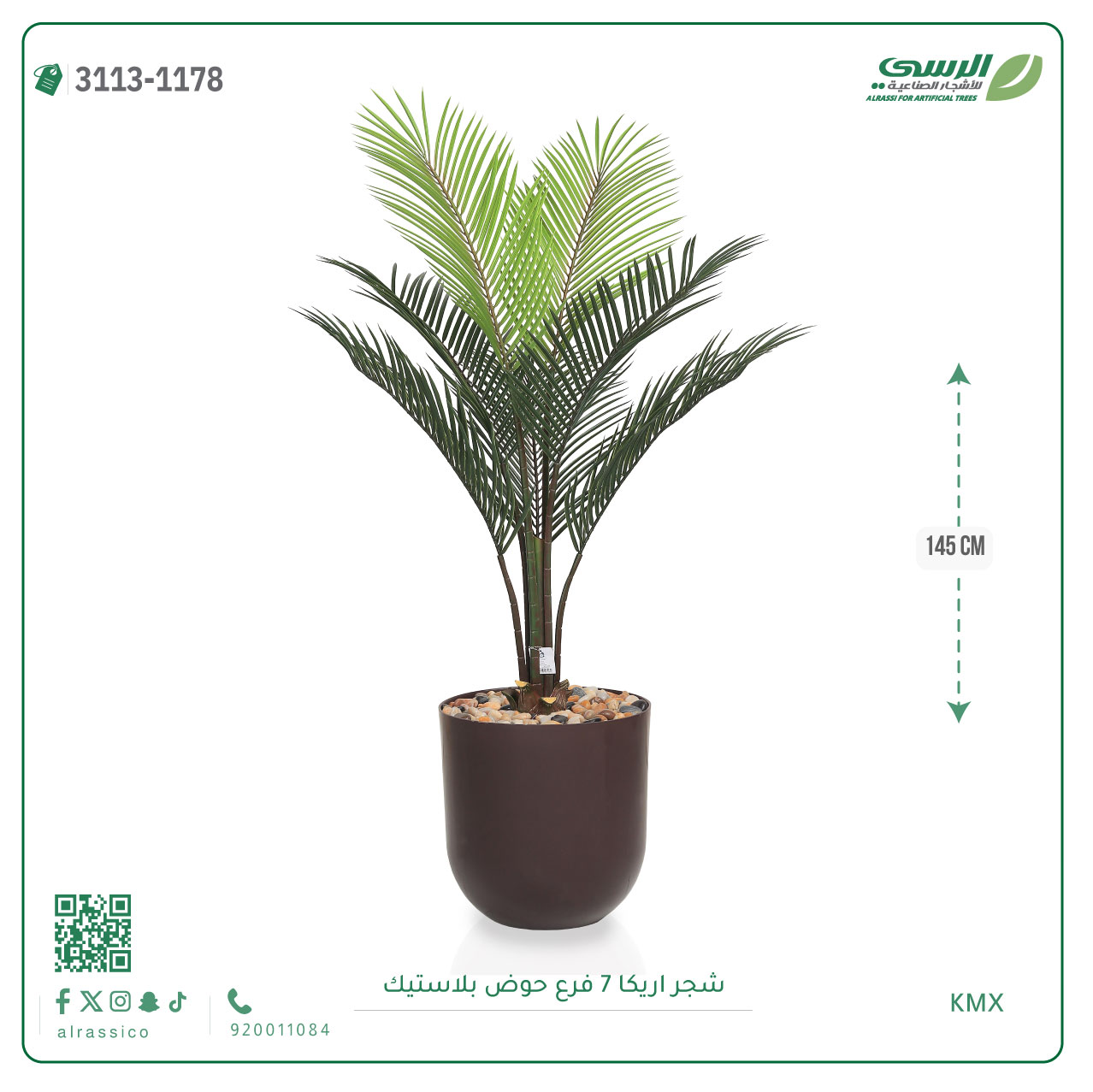  شجر أريكا (7 فروع) بمركن بلاستيك أسطواني 