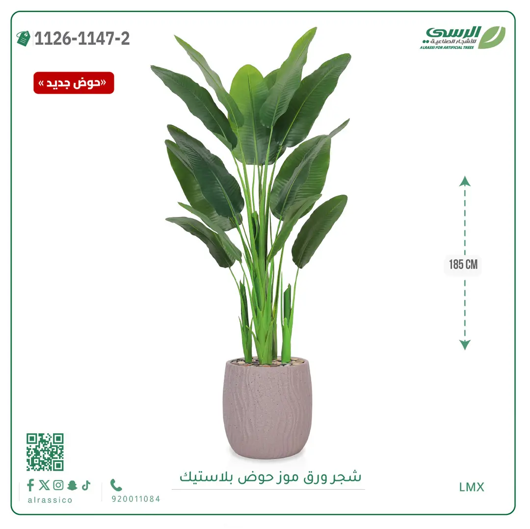  شجرة موز صناعية ( ارتفاع 185 سم ) حوض بلاستيك 