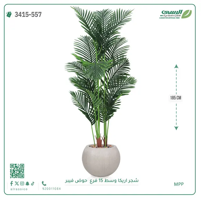  شجرة أريكا صناعية 15 فرع (ارتفاع 185 سم) حوض فيبر 