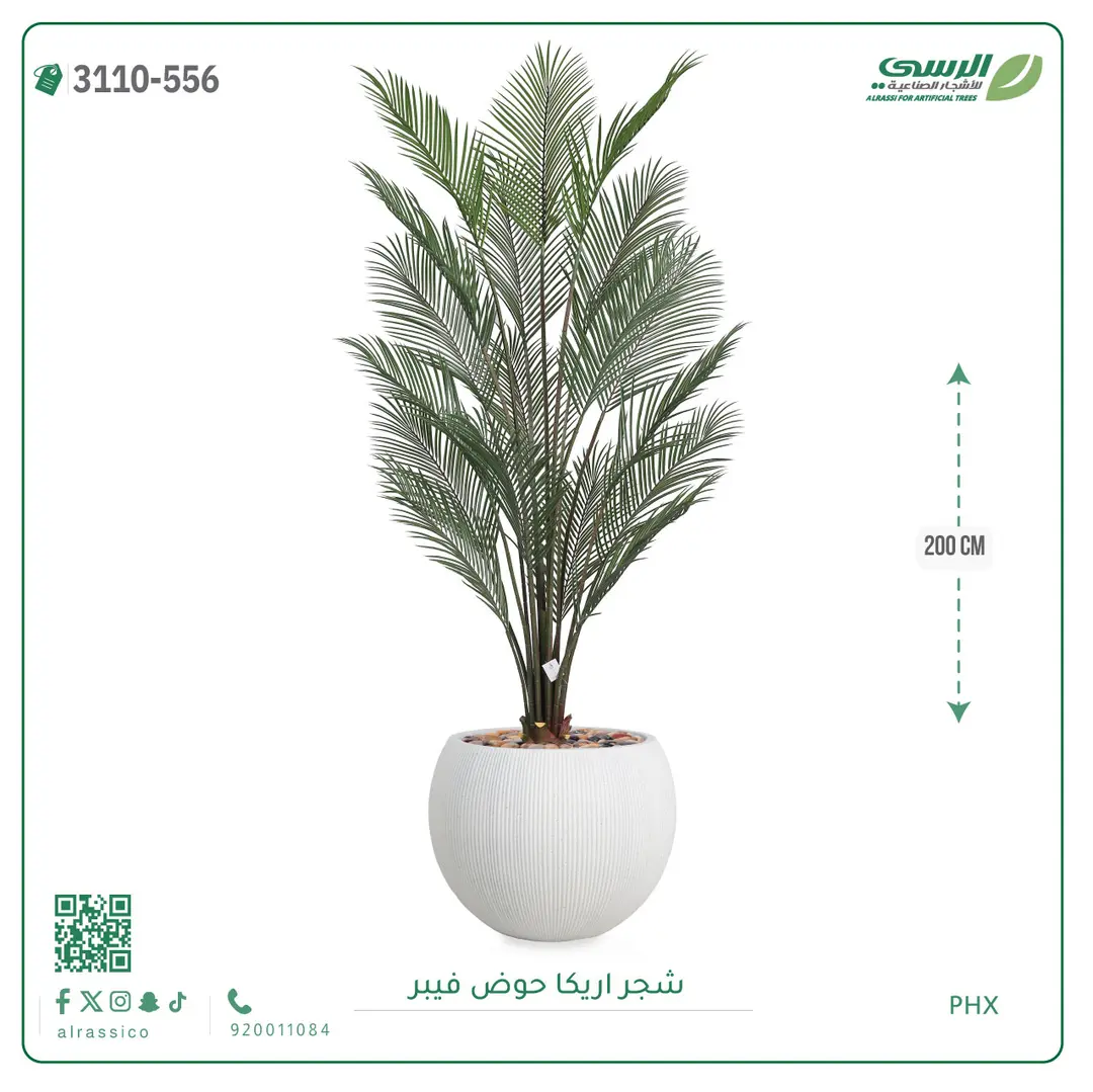  شجرة اريكا صناعية ( ارتفاع 200 سم ) حوض فيبر 