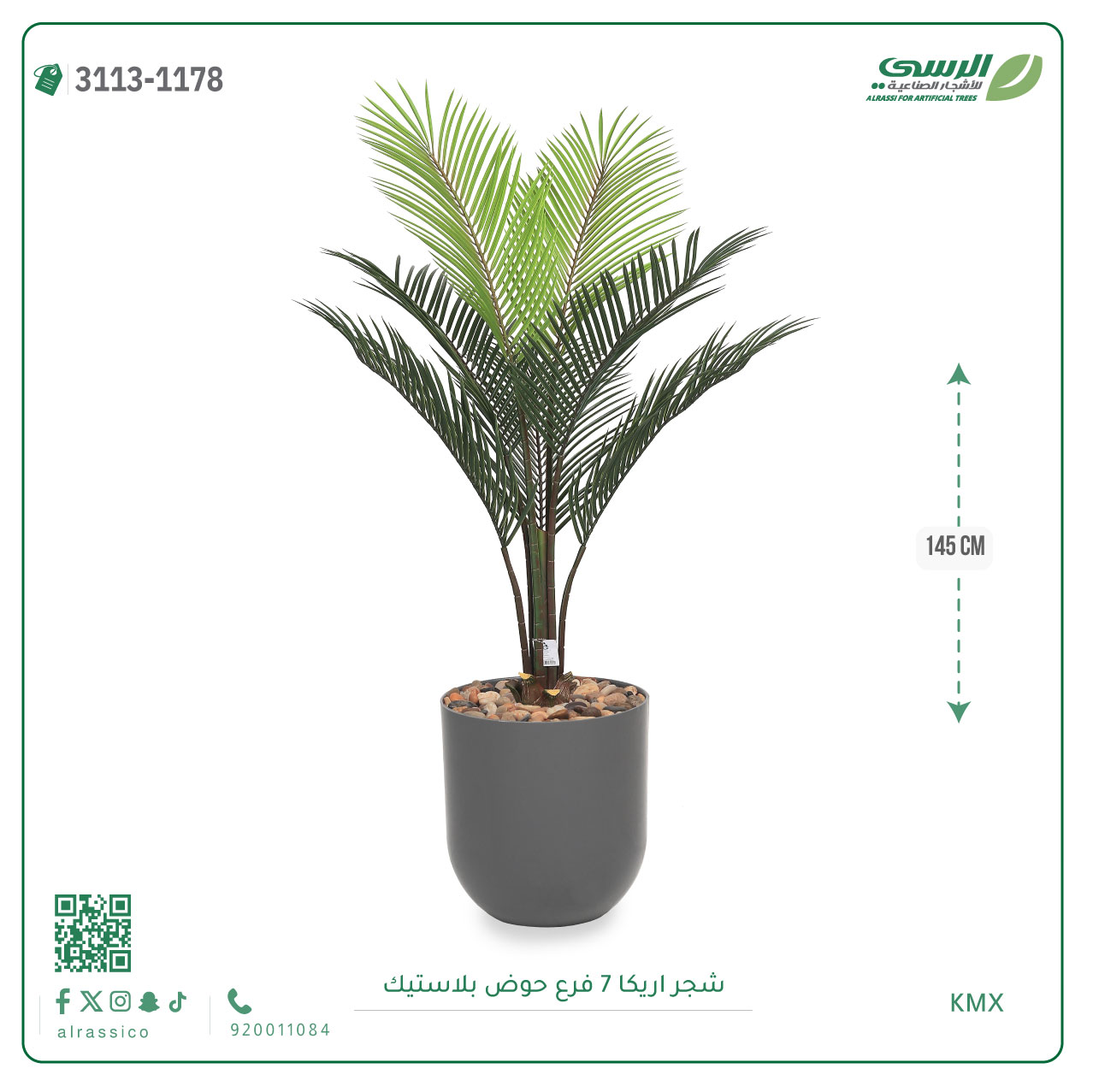  شجر أريكا (7 فروع) بمركن بلاستيك أسطواني 
