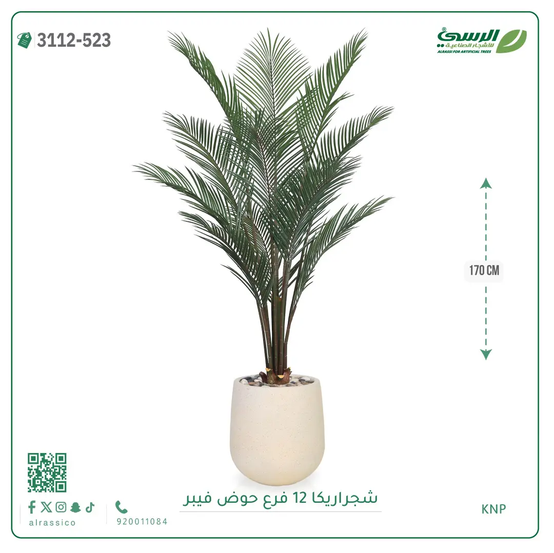  شجرة أريكا صناعية 12 فرع (ارتفاع 170 سم) حوض فيبر 