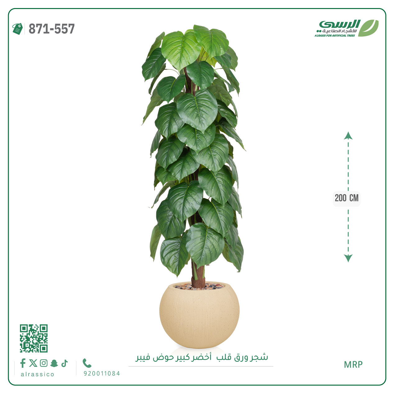  شجرة ورق قلب اصطناعية ( ارتفاع 200 سم ) حوض فايبر 