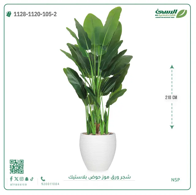  شجرة ورق موز صناعية ( ارتفاع 210 سم ) حوض بلاستيك 