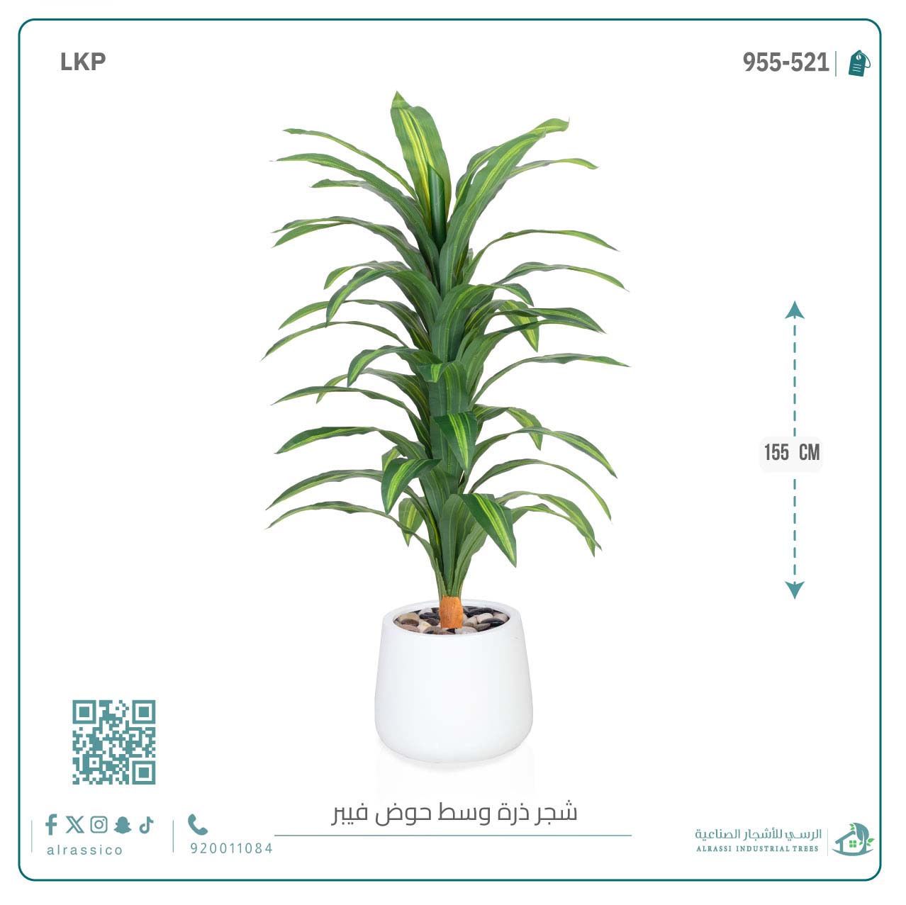  شجرة نبات الذرة (دراسينا) الاصطناعية كبيرة بمركن فيبر بيضاوى  