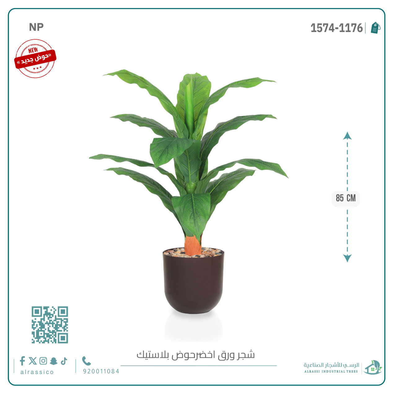  شجرة ورق موز صغير بمركن بلاستيك أسطواني 