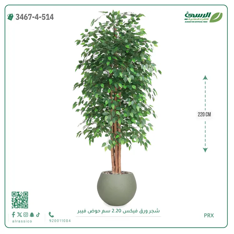  شجر فيكس صناعية (ارتفاع 220 سم) حوض فيبر 