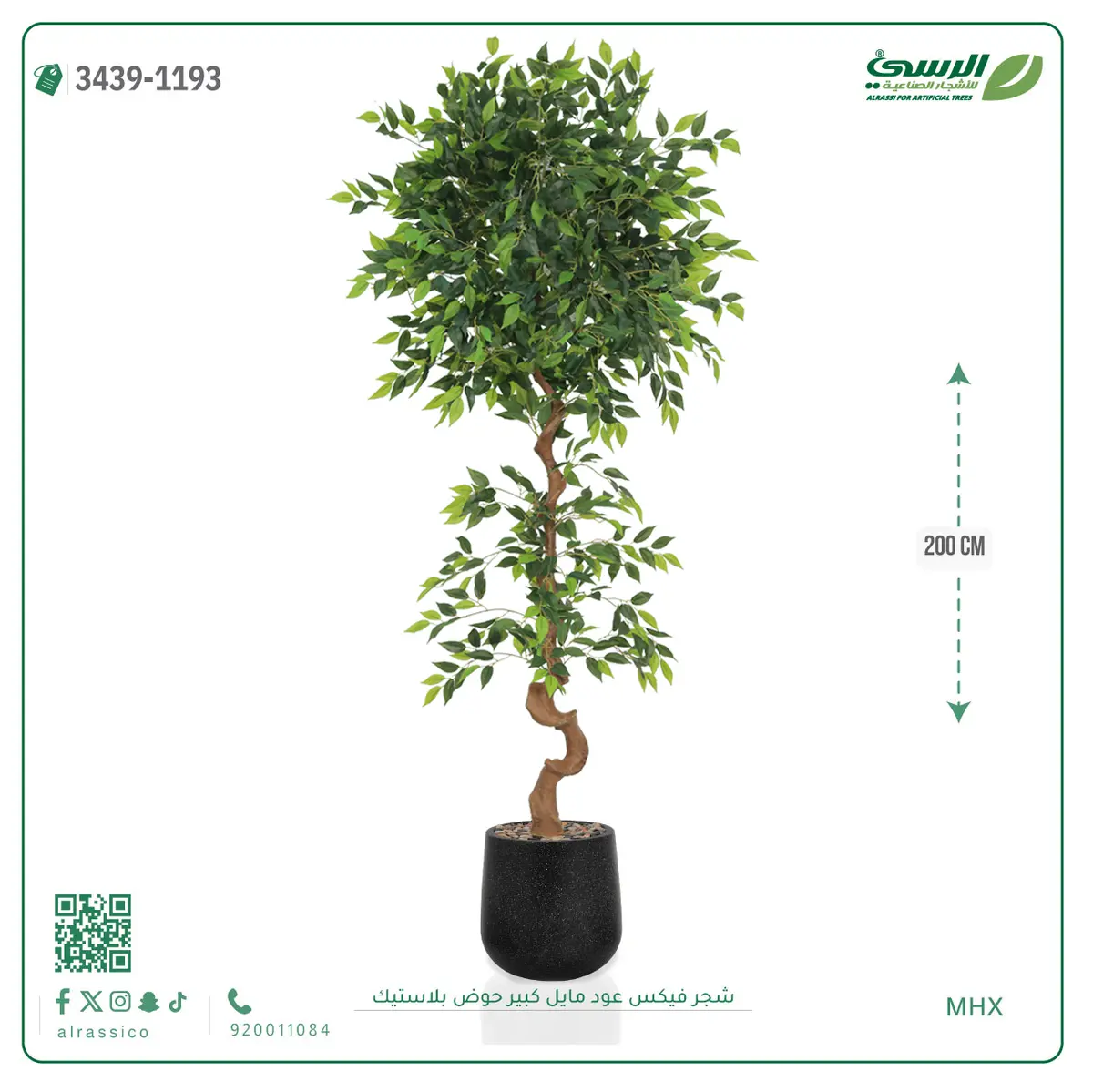  شجرة فيكس صناعية عود مائل (ارتفاع 200 سم) حوض بلاستيك 