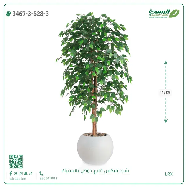  شجر فيكس صناعية (ارتفاع 145 سم) حوض بلاستيك 