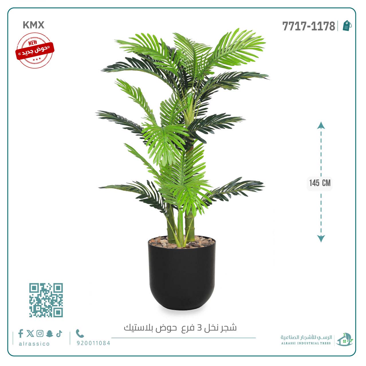  نخل أريكا صغير (3 فروع) بمركن بلاستيك أسطواني 