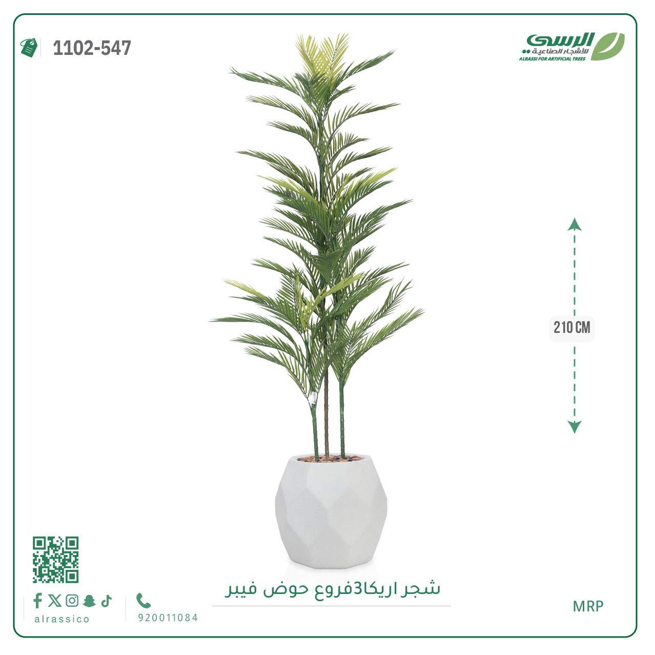  شجرة أريكا اصطناعية (3 فرع) بمركن فيبر 