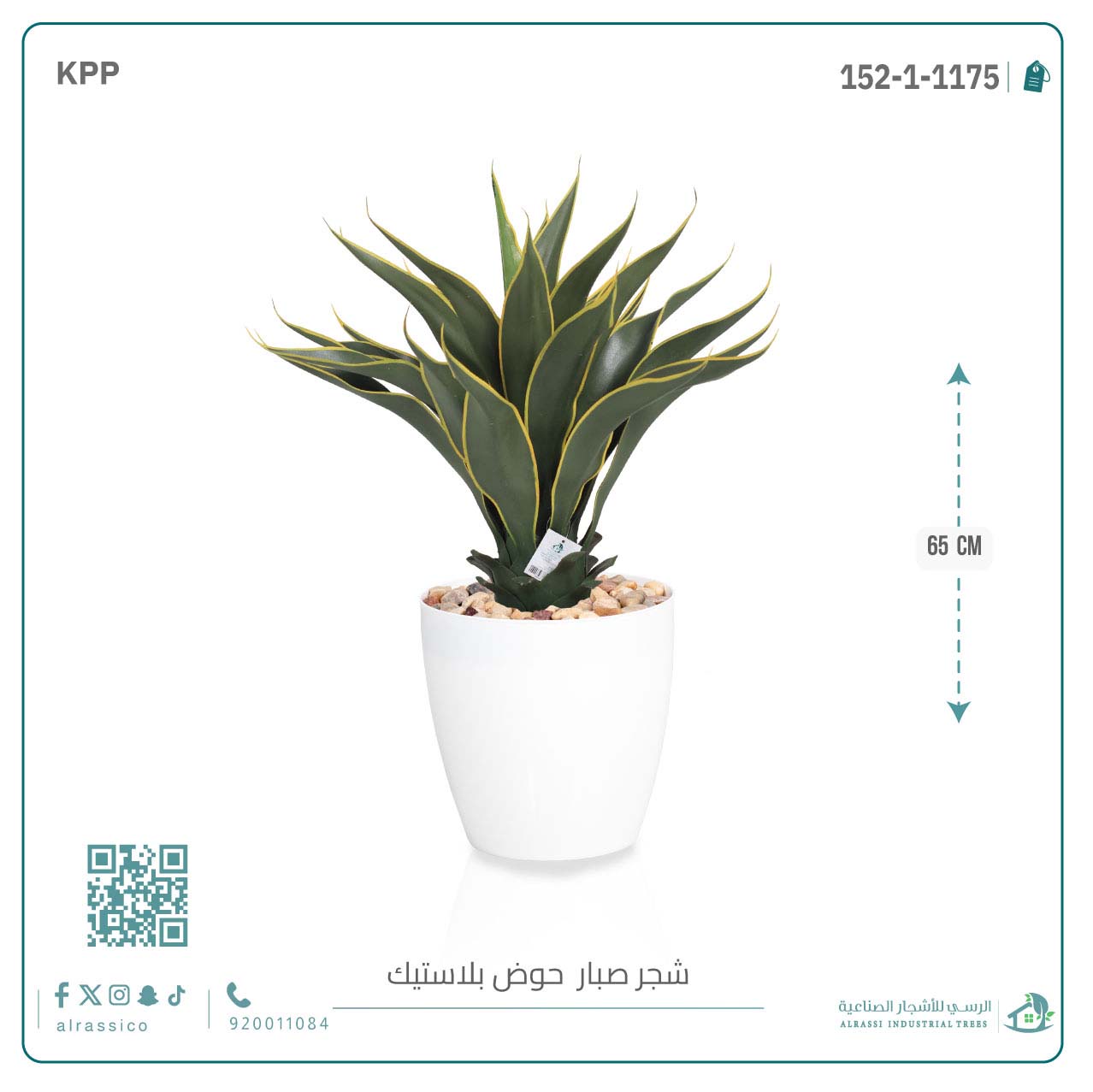  صبار ذيل الثعلب الصناعي بمركن بلاستيك اسطوانى  