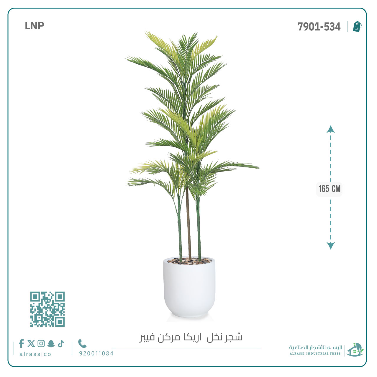  نخل أريكا اصطناعية (3 فرع) بمركن فيبر  أسطواني 