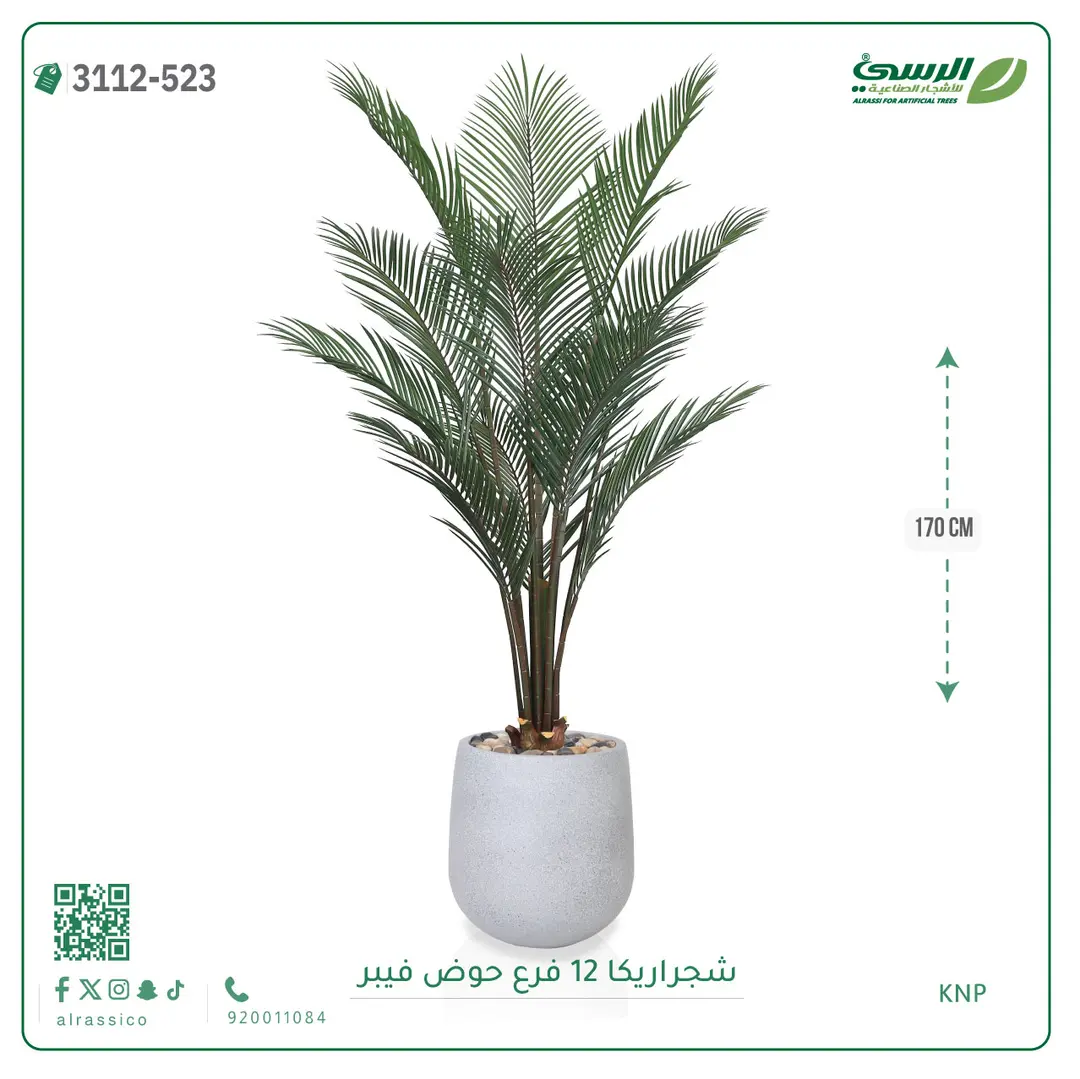  شجرة أريكا صناعية 12 فرع (ارتفاع 170 سم) حوض فيبر 