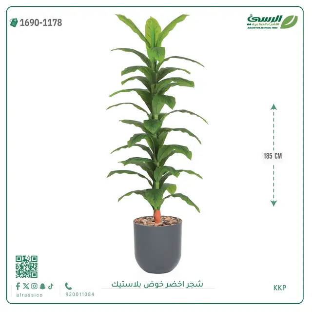  شجرة ذرة صناعية (ارتفاع 185 سم) حوض بلاستيك 