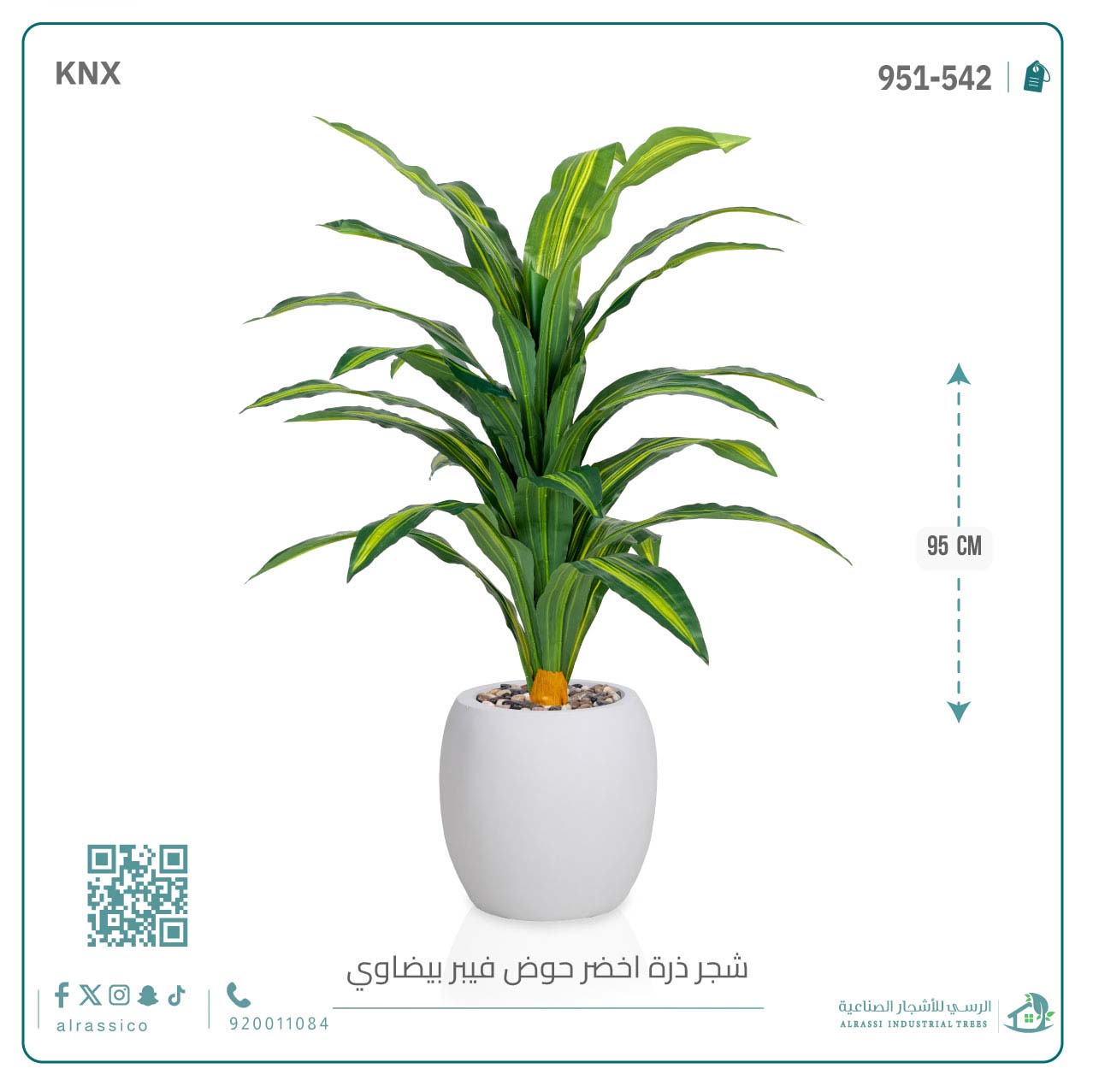  شجرة ذرة خضراء بمركن فيبر بيضاوى  