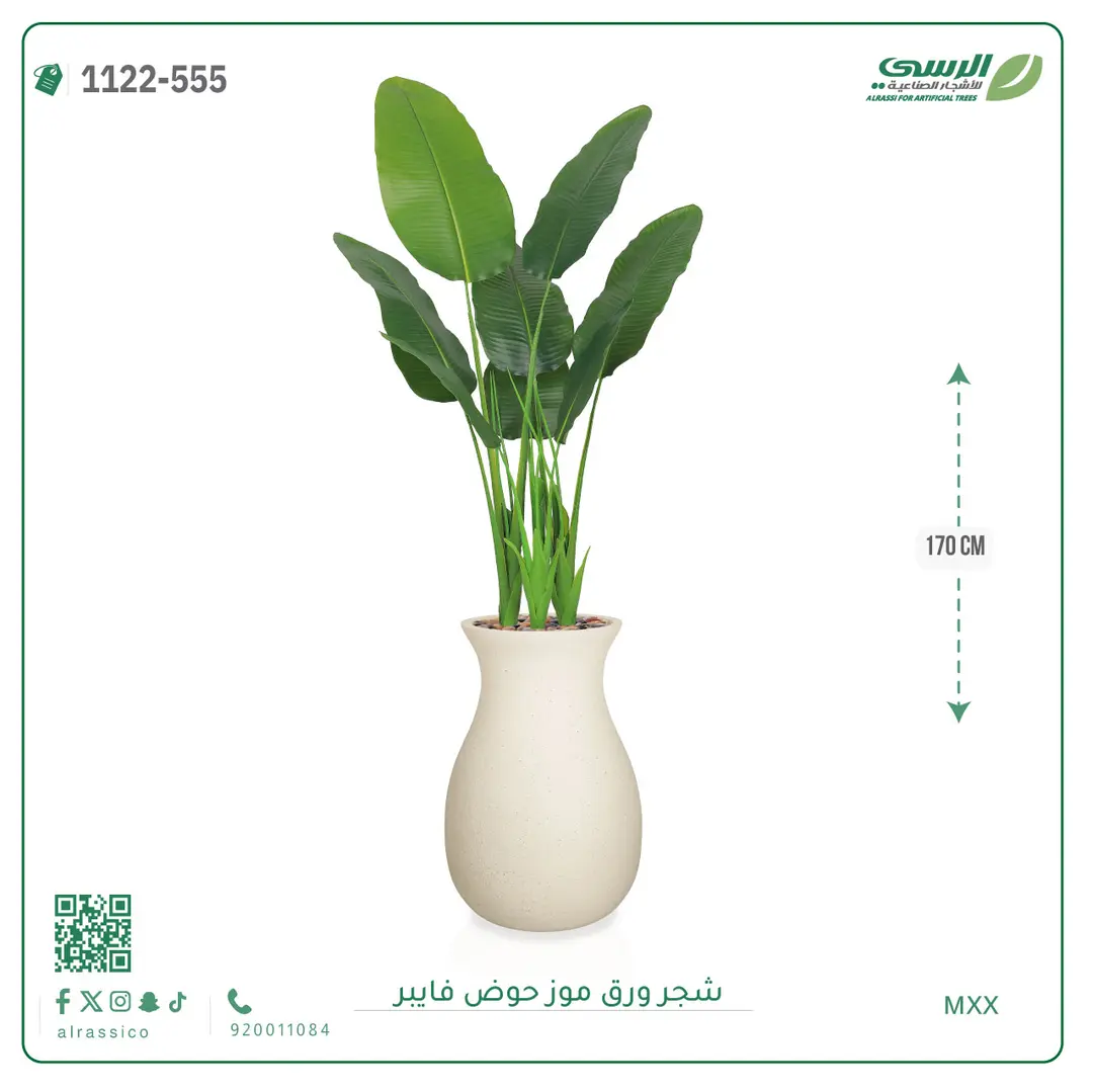  شجرة موز صناعية ( ارتفاع 170 سم ) حوض فيبر 