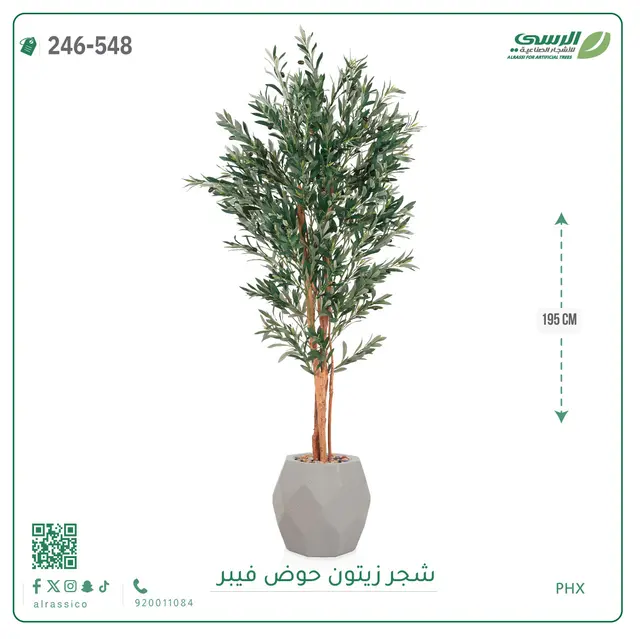  شجر زيتون صناعية ( ارتفاع 195 سم ) حوض فيبر 