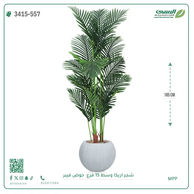  شجرة أريكا صناعية 15 فرع (ارتفاع 185 سم) حوض فيبر 