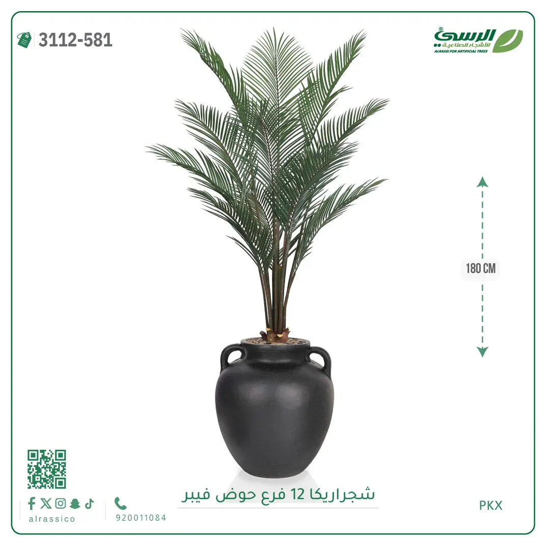  شجرة أريكا صناعية 12 فرع (ارتفاع 180 سم) حوض فيبر 