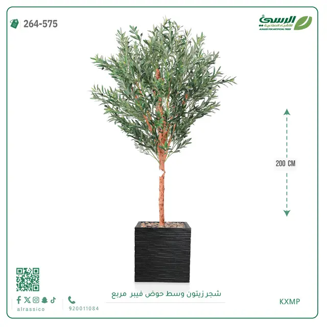  شجرة زيتون صناعية (ارتفاع 200 سم) بحوض فيبر مربع 