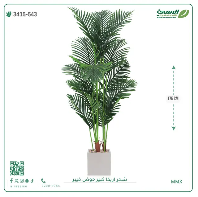  شجر أريكا صناعية ( ارتفاع 175 سم ) حوض فيبر 