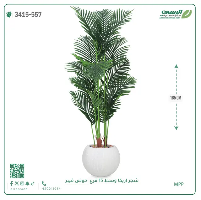  شجرة أريكا صناعية 15 فرع (ارتفاع 185 سم) حوض فيبر 