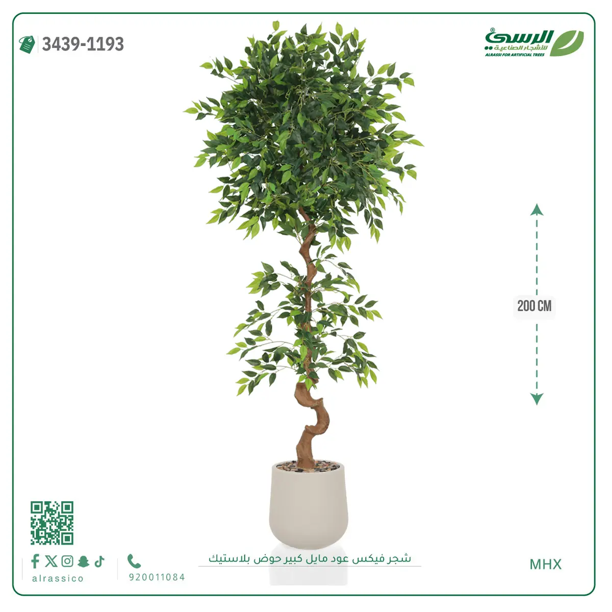  شجرة فيكس صناعية عود مائل (ارتفاع 200 سم) حوض بلاستيك 