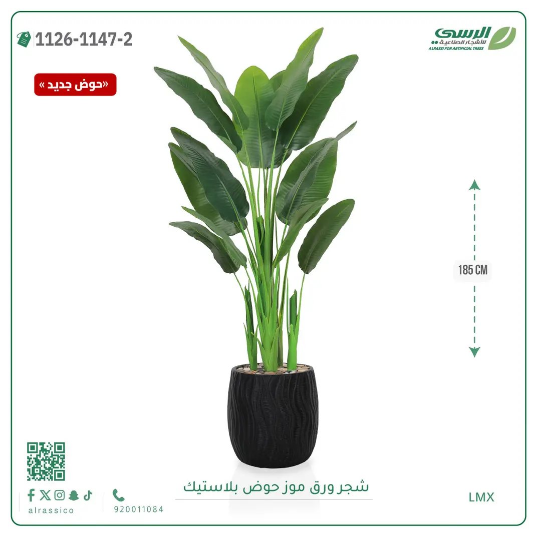  شجرة موز صناعية ( ارتفاع 185 سم ) حوض بلاستيك 