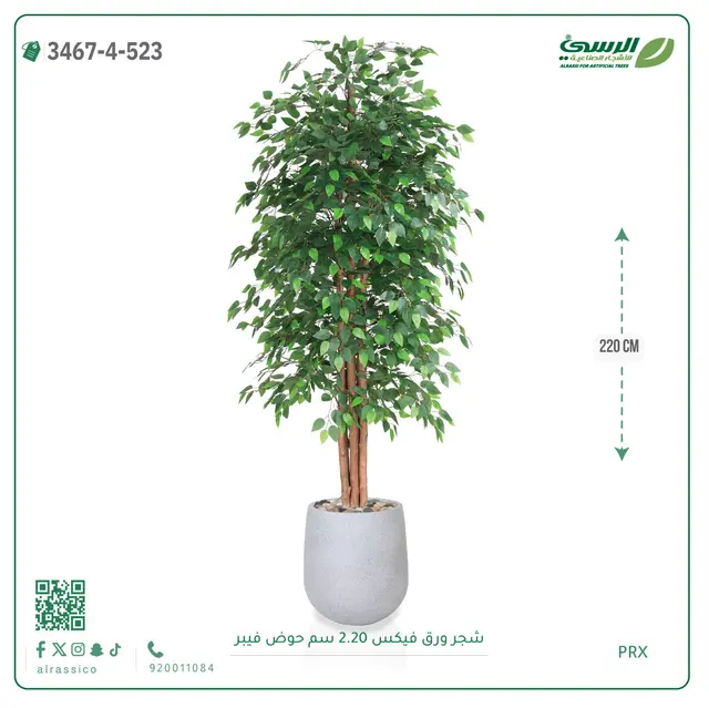  شجر فيكس صناعية (ارتفاع 220 سم) حوض فيبر 