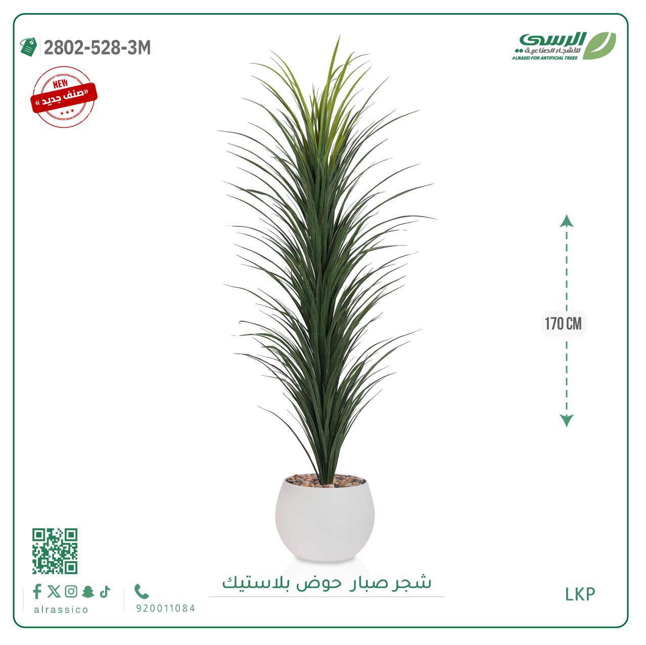   شتلة صبار بمركن بلاستيك دائري 