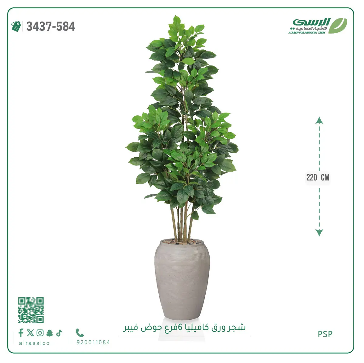  شجرة ورق كاميليا صناعية 6 فروع (ارتفاع 220 سم) حوض فيبر 