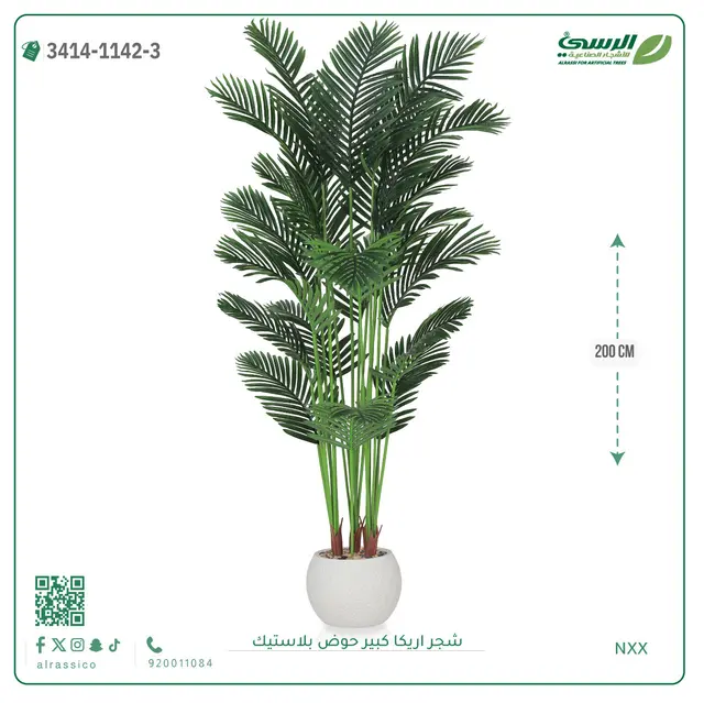  شجر أريكا صناعية ( ارتفاع 200 سم ) حوض بلاستك 