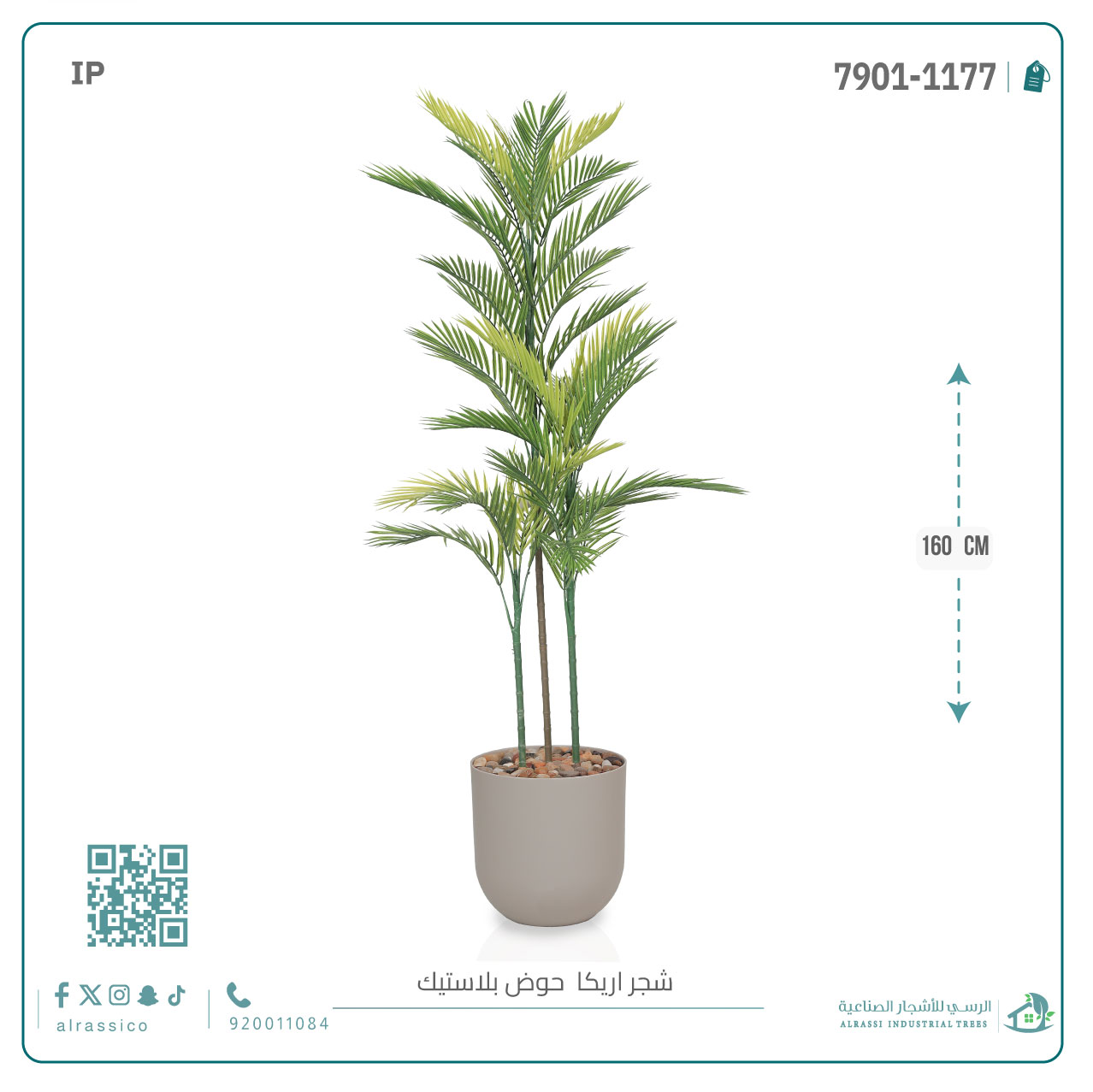  نخلة أريكا صناعية ( ارتفاع 160 سم ) حوض بلاستيك أسطواني 