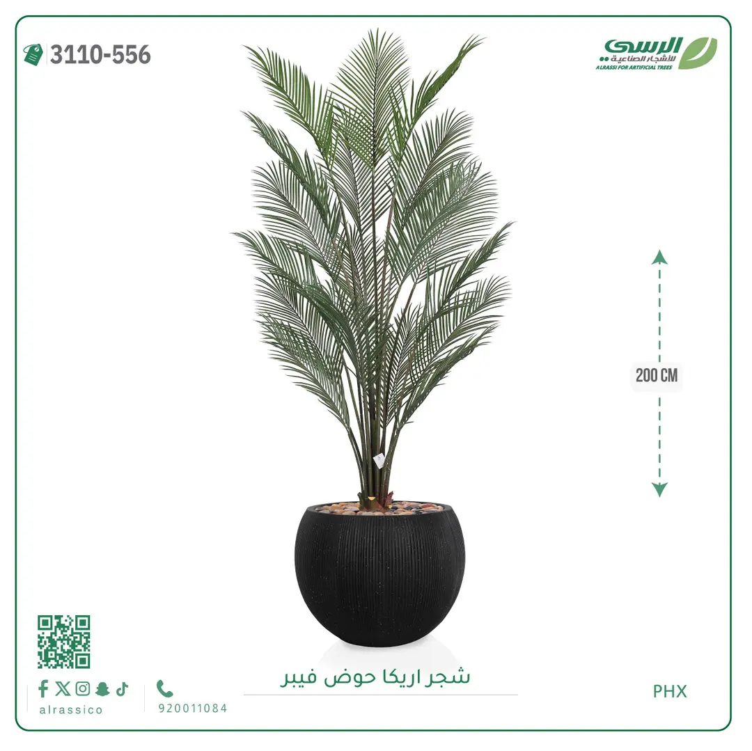  شجرة اريكا صناعية ( ارتفاع 200 سم ) حوض فيبر 