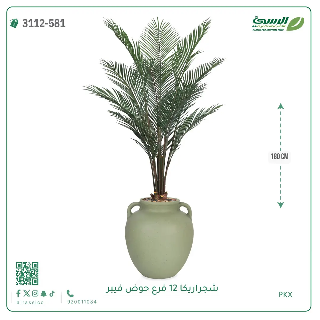 شجرة أريكا صناعية 12 فرع (ارتفاع 180 سم) حوض فيبر 