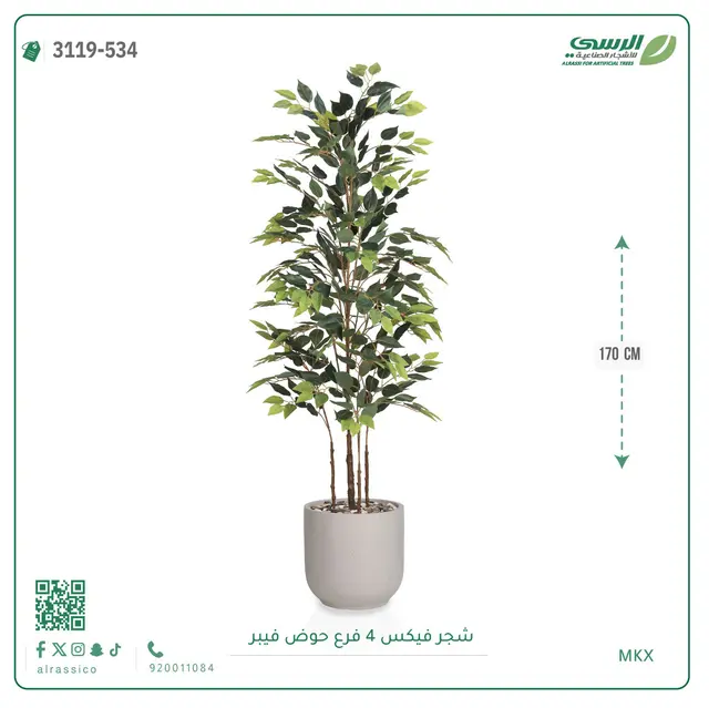  شجرة فيكس صناعية (ارتفاع 170 سم) بحوض فيبر 