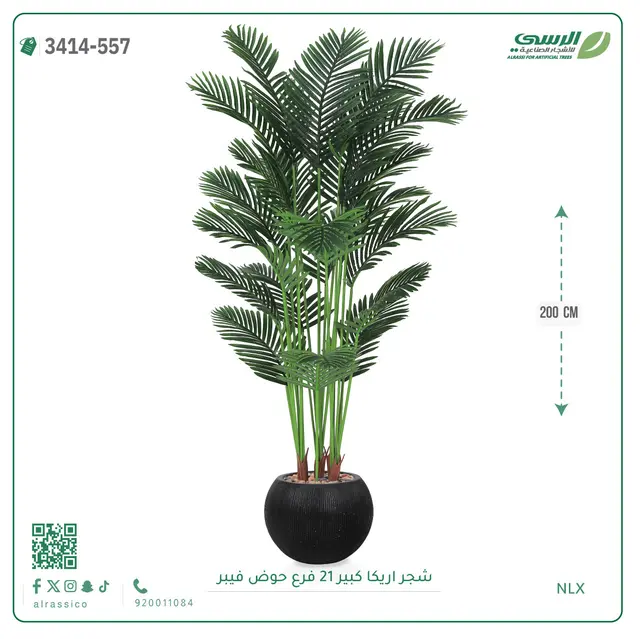  شجرة أريكا صناعية 21 فرع (ارتفاع 200 سم) حوض فيبر 