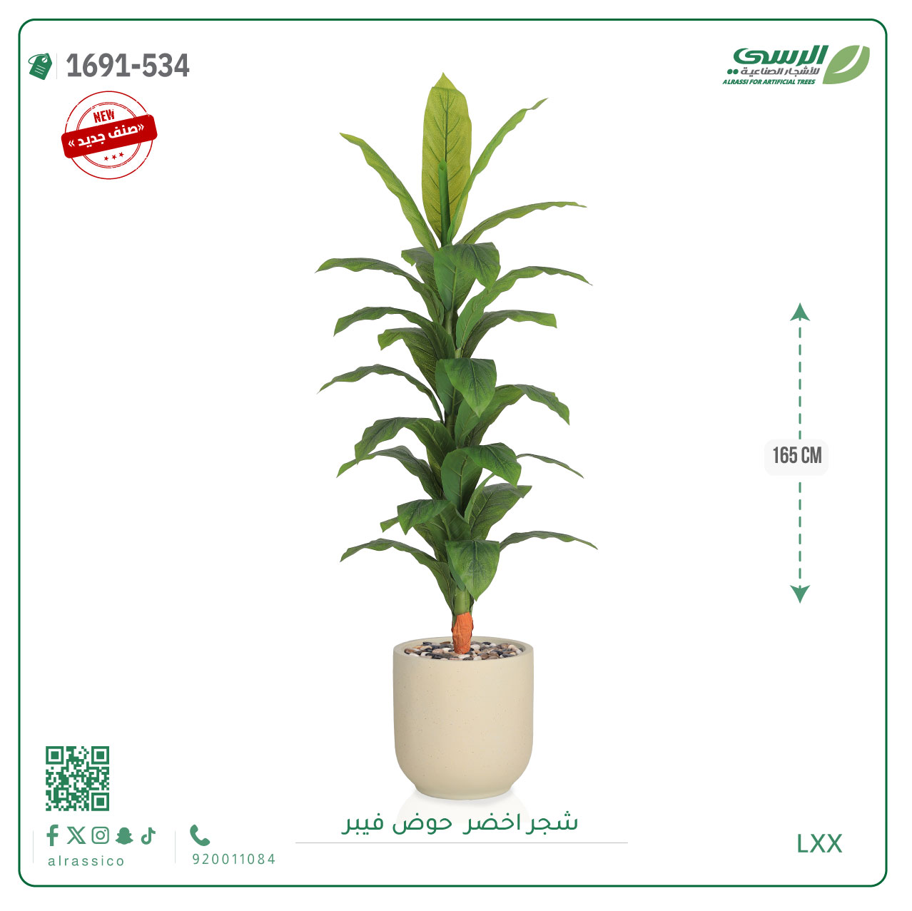  شجرة ورق أخضر وسط بمركن فيبر اسطوانى  