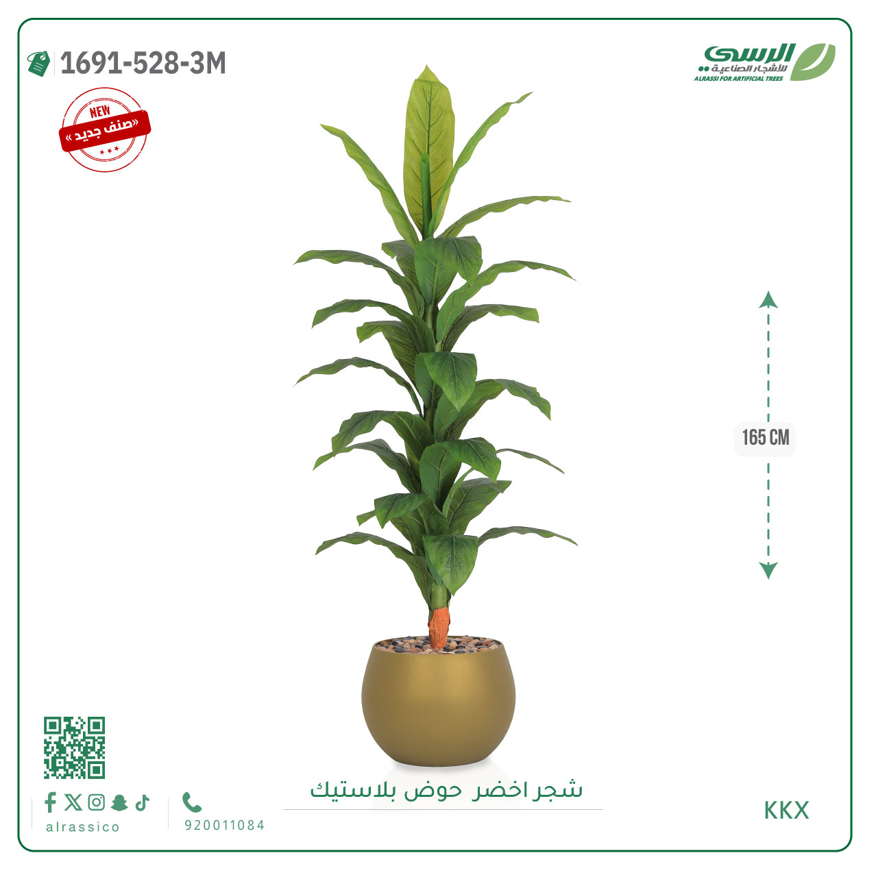   شجرة ورق أخضر وسط بمركن بلاستيك دائرى  