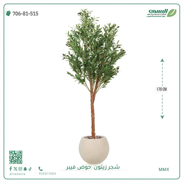  شجر زيتون صناعية ( ارتفاع 170 سم ) حوض فيبر 