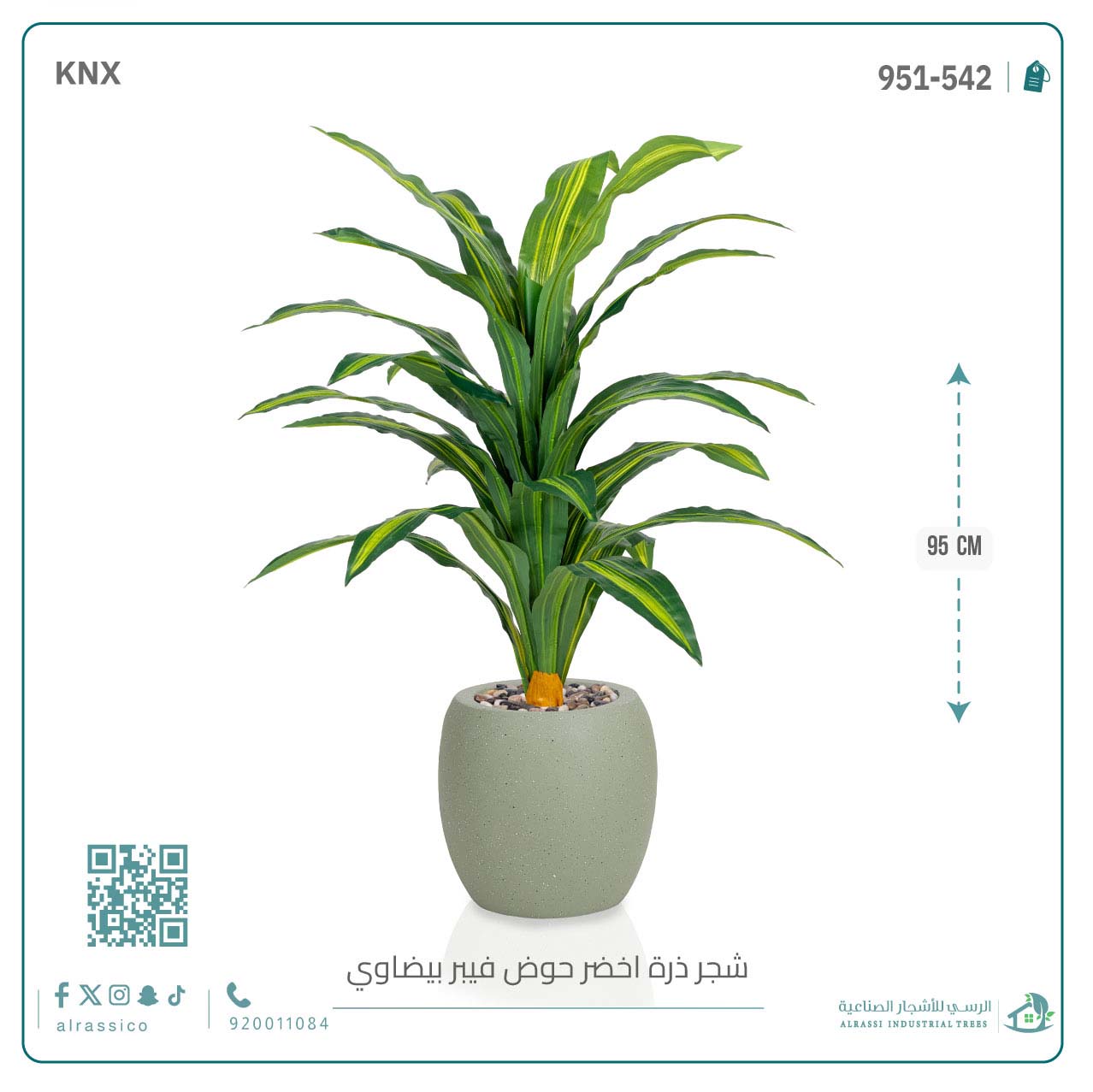 شجرة ذرة خضراء بمركن فيبر بيضاوى  