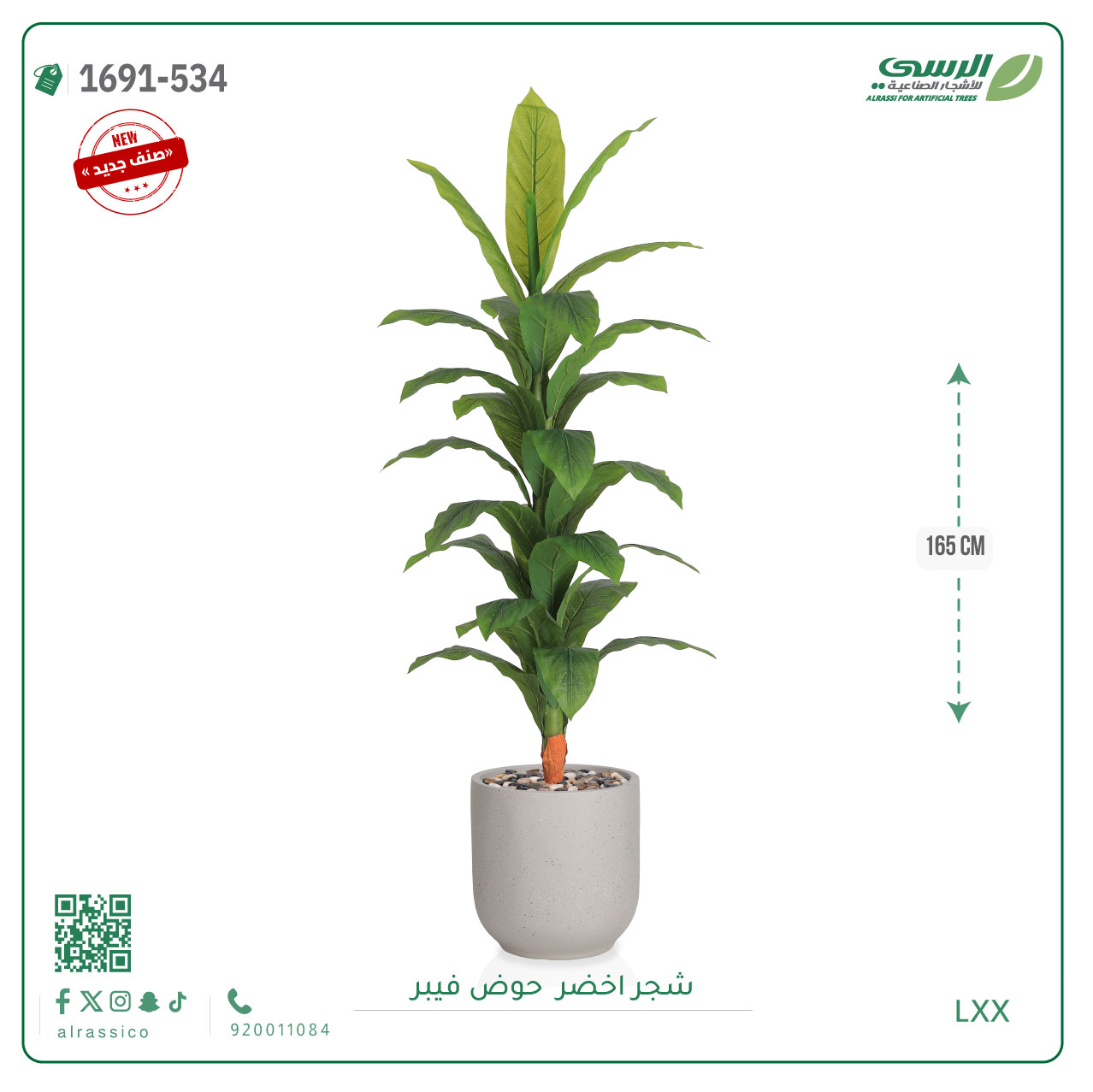  شجرة ورق أخضر وسط بمركن فيبر اسطوانى  