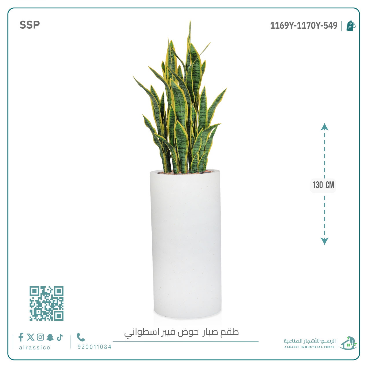   صبار سنسفيرا  أصفر (9 فروع) بمركن فيبر أسطواني 