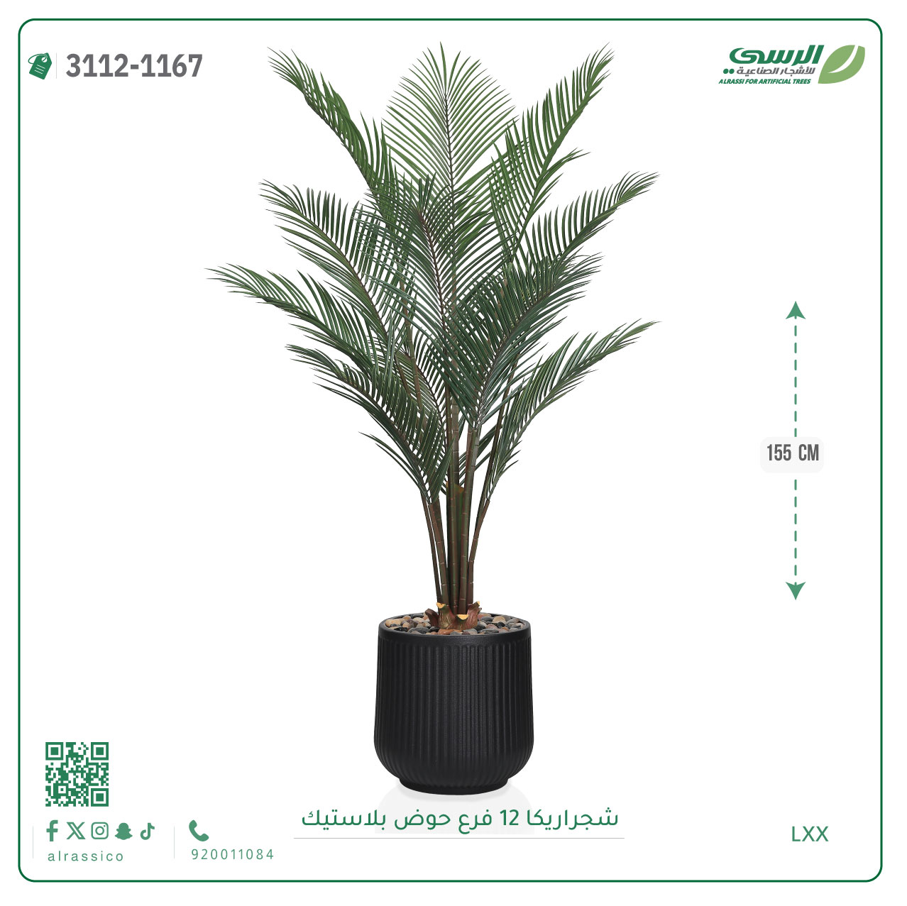  شجرة أريكا صناعية ( ارتفاع 155 سم ) حوض بلاستيك 