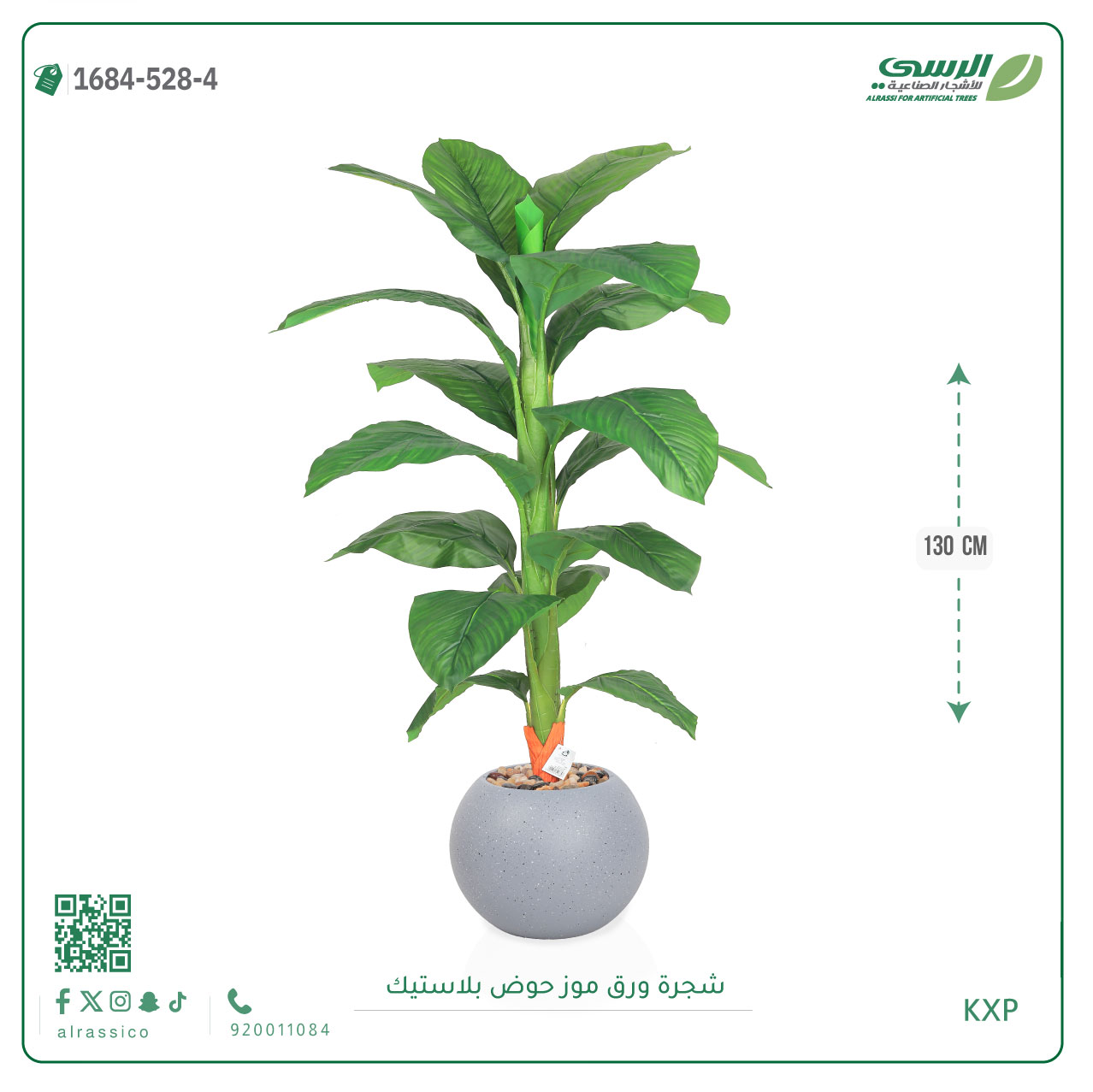  شجرة ورق موز متوسطة بمركن بلاستيك دائرى  